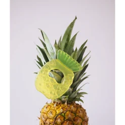 Anneaux De Dentition*Formula Baby Anneau de dentition réfrigéré de Ananas