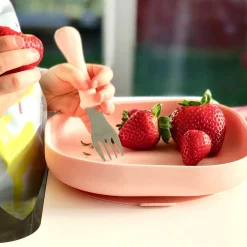 Assiettes*Béaba Assiette silicone ventouse de Light Pink