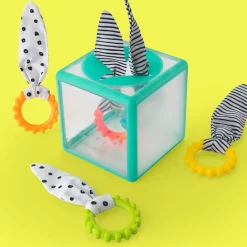 Jouets D'Activités*Sassy Boîte à anneaux textures de