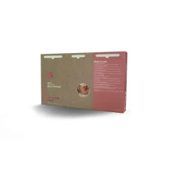 Lingerie|Vêtements*Carriwell Ceinture de maintien abdominal en coton biologique de Noir