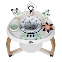 Jouets D'Activités*Tiny Love Centre d'activités stationnaire 5 en 1 de Vert