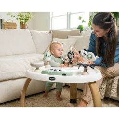 Jouets D'Activités*Tiny Love Centre d'activités stationnaire 5 en 1 de Vert