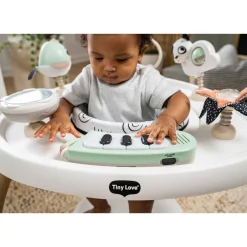 Jouets D'Activités*Tiny Love Centre d'activités stationnaire 5 en 1 de Vert