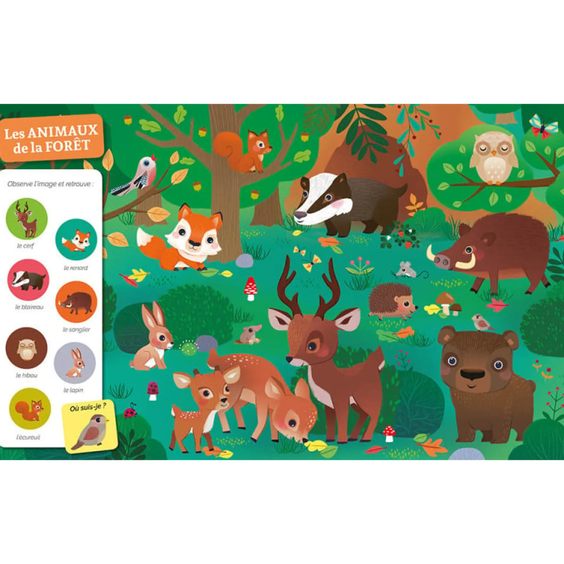 Livres*AUZOU Cherche et Trouve des tout-petits de Chez les animaux