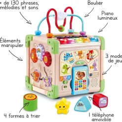 Jeux De Formes*Vtech Cube nature interactif multi-activités de