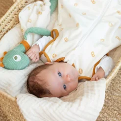 Doudous*Trois Kilos Sept Diplododo Doudou de Dinosaure