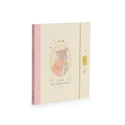 Albums*Moulin Roty La Petite École de Danse Livre de Naissance de Rose