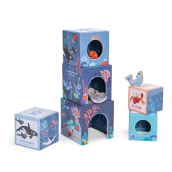 Jeux De Formes*Moulin Roty Les Aventures de Paulie Cubes Empilables de