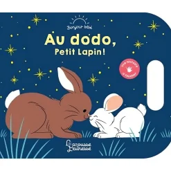 Livres*Larousse Livre Au dodo, Petit Lapin ! de