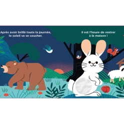 Livres*Larousse Livre Au dodo, Petit Lapin ! de