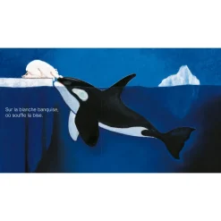 Livres*Deux coqs d'or Livre Indéstructible L'heure du Bisou de