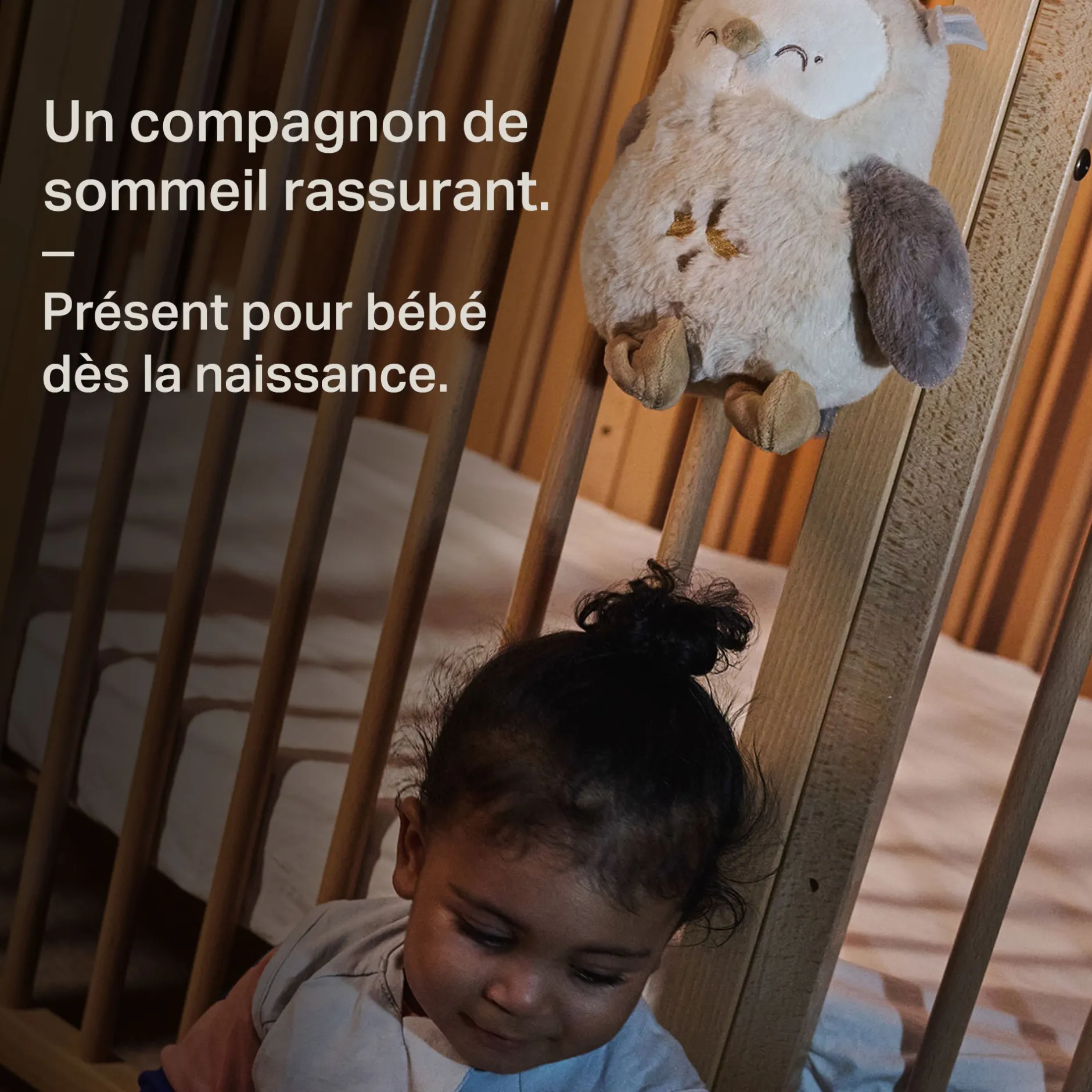 Peluches Musicales|Veilleuses*Tommee Tippee Peluche lumineuse et sonore Deluxe Grofriend de Ollie la Chouette