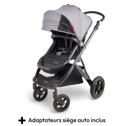 Poussettes Polyvalentes|Tout Pour Vos Balades*William Kent 1733 Poussette Dragon de Gris