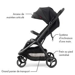 Poussettes Cannes|Tout Pour Vos Balades*William Kent 1733 Poussette Sirius de Black