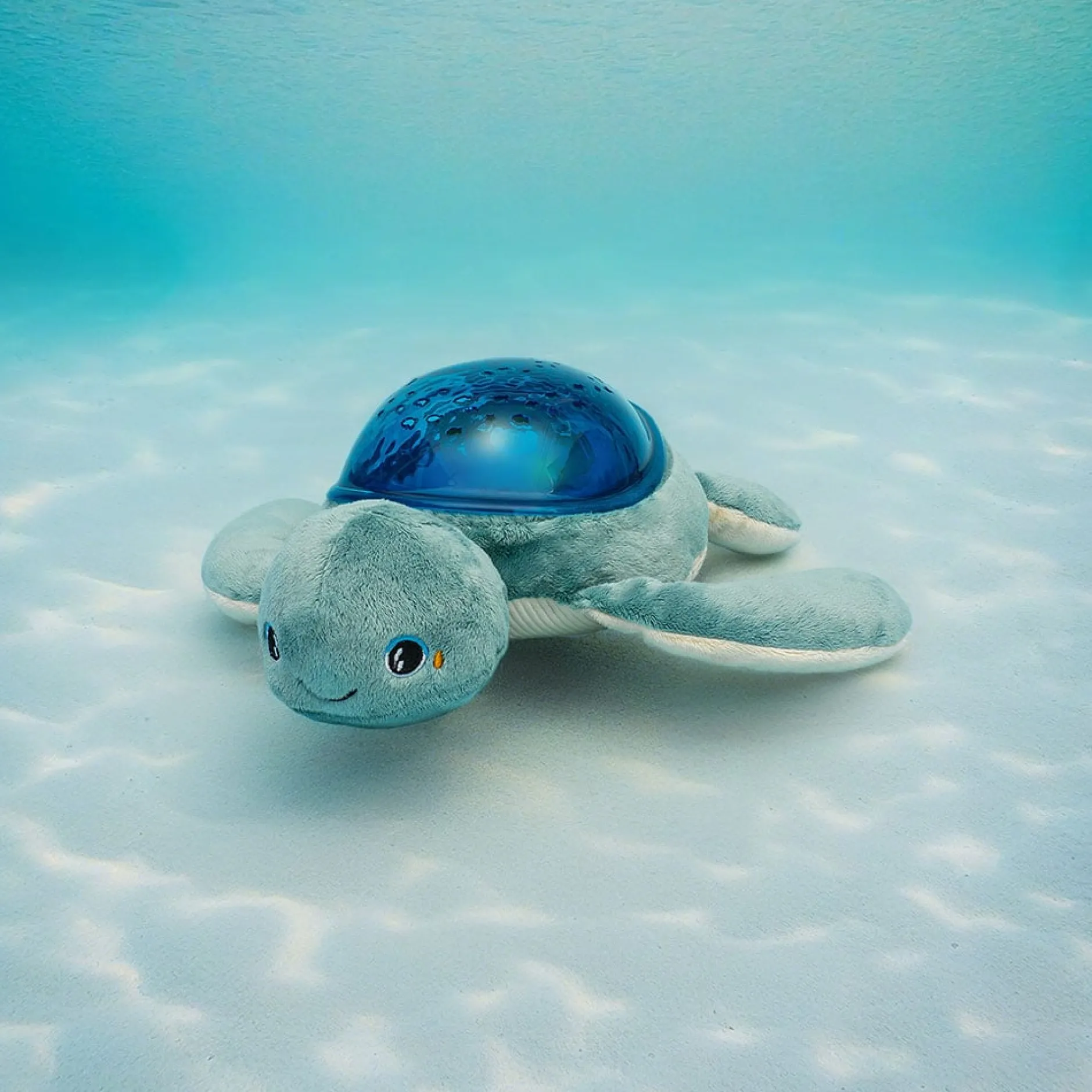Veilleuses*Pabobo Projecteur Tortue Aqua Dream de