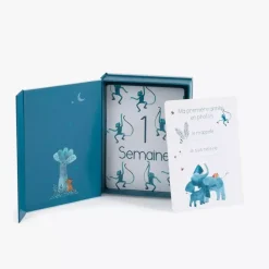 Albums*Moulin Roty Sous mon Baobab Cartes Mes 12 premiers mois de