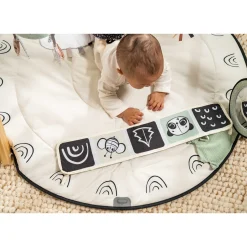 Tapis D'Éveil*Tiny Love Tapis d'éveil Gymini Luxe de Black & White