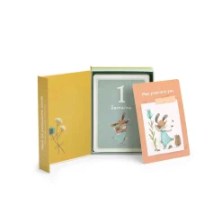 Albums*Moulin Roty Trois petits lapins Cartes Mes 12 premiers mois de