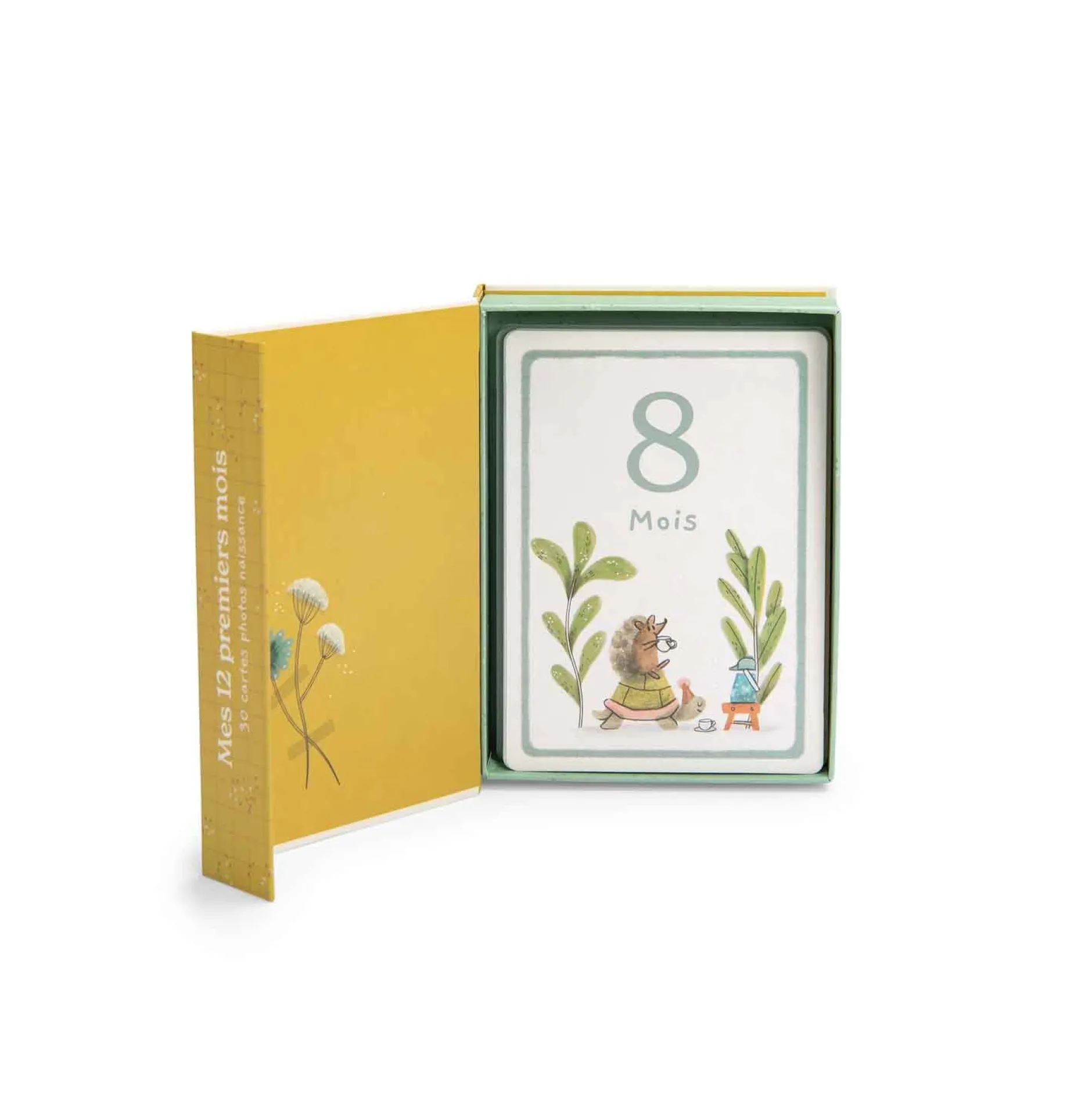 Albums*Moulin Roty Trois petits lapins Cartes Mes 12 premiers mois de