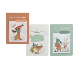 Albums*Moulin Roty Trois petits lapins Cartes Mes 12 premiers mois de