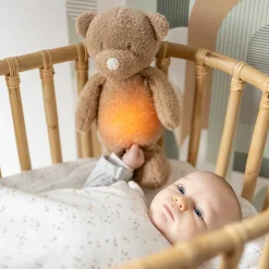 Veilleuses*Nattou Veilleuse Sleepy Ours de Teddy